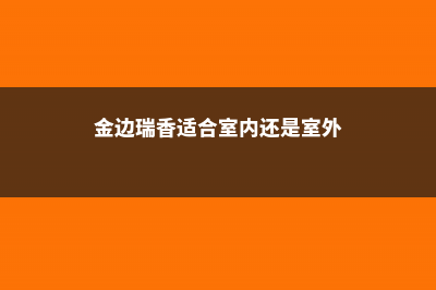 金边瑞香适合室内养殖吗，能活几年 (金边瑞香适合室内还是室外)