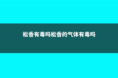 松香有毒吗 (松香有毒吗松香的气体有毒吗)