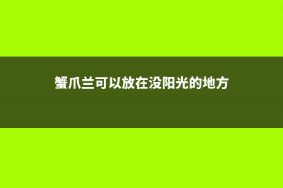 蟹爪兰可以放在卧室吗 (蟹爪兰可以放在没阳光的地方)