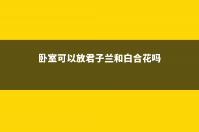 卧室可以放君子兰吗 (卧室可以放君子兰和白合花吗)