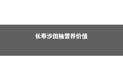 长寿沙田柚成熟时间 (长寿沙田柚营养价值)