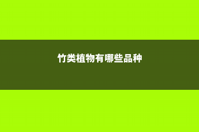 竹类代表哪一类人 (竹类植物有哪些品种)