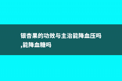 银杏果的功效与作用及食用方法 (银杏果的功效与主治能降血压吗,能降血糖吗)