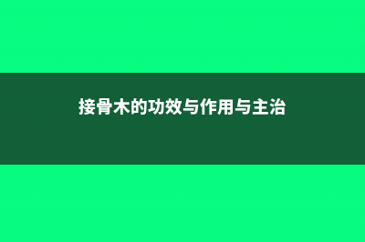 接骨木的功效与作用（接骨木图片辨别） (接骨木的功效与作用与主治)