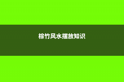 棕竹的风水作用，养在客厅可以吗 (棕竹风水摆放知识)