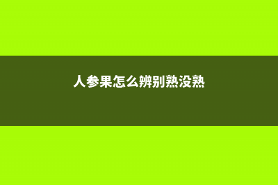 人参果怎么辨别熟不熟，熟了会变软吗 (人参果怎么辨别熟没熟)