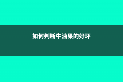 如何判断牛油果坏了（附挑选方法） (如何判断牛油果的好坏)