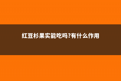 红豆杉果实能吃吗，是否有毒？ (红豆杉果实能吃吗?有什么作用?)