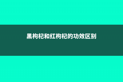 黑枸杞和红枸杞的区别（做法、功效与作用） (黑枸杞和红枸杞的功效区别)