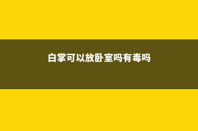 白掌可以放卧室吗，什么植物可以摆放在卧室？ (白掌可以放卧室吗有毒吗)