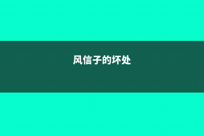 风信子对人体有害吗，适合室内养吗 (风信子的坏处)