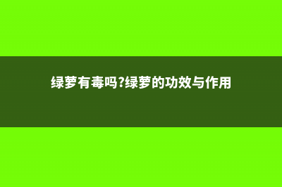 绿萝有毒吗 (绿萝有毒吗?绿萝的功效与作用)