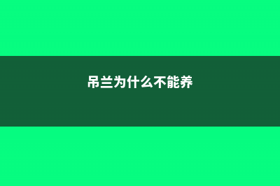 吊兰为什么不能放卧室，室内怎么养才长得好 (吊兰为什么不能养)