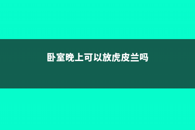 卧室晚上可以放植物吗 (卧室晚上可以放虎皮兰吗)