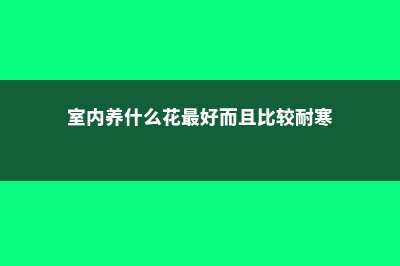 院内外适合种枣树吗 (院内种枣树风水好不好)