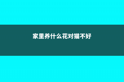 家里养什么花对身体好 (家里养什么花对猫不好)