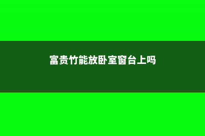 富贵竹能放卧室吗 (富贵竹能放卧室窗台上吗)