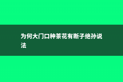 梅花的象征意义是什么 (竹子和梅花的象征意义)