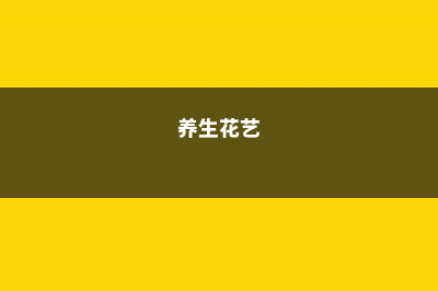 这6种“养生花”，秋天湿气寒气全吸走，家里有老人必备！ (养生花艺)