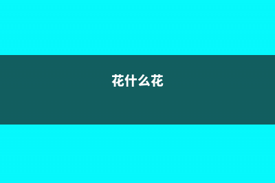 这4种花，“打折”再狠也不要买，碰到“汁液”就会中毒！ (花什么花)