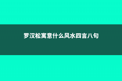 罗汉松寓意 (罗汉松寓意什么风水四言八句)