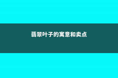 翡翠叶子的寓意 (翡翠叶子的寓意和卖点)