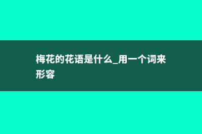 梅花的花语是什么 (梅花的花语是什么 用一个词来形容)