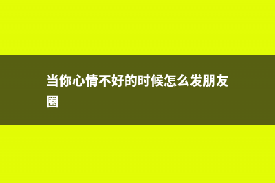 当你心情不好的时候，就逛逛菜市场吧！ (当你心情不好的时候怎么发朋友圈)