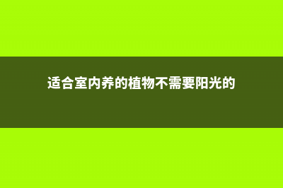 适合室内养的植物 (适合室内养的植物不需要阳光的)