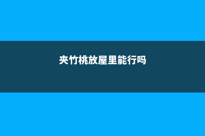 夹竹桃可以放室内养吗 (夹竹桃放屋里能行吗)