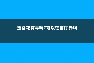 玉簪花有毒吗 (玉簪花有毒吗?可以在客厅养吗)