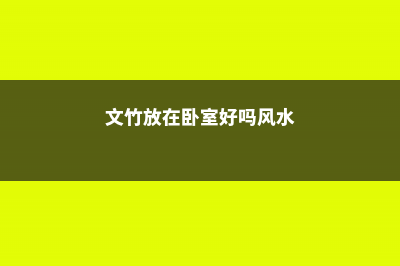 文竹放在卧室好吗 (文竹放在卧室好吗风水)