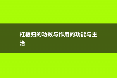 杠板归的功效与作用 (杠板归的功效与作用的功能与主治)