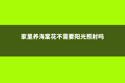 家里养海棠花不吉利真的吗 (家里养海棠花不需要阳光照射吗)