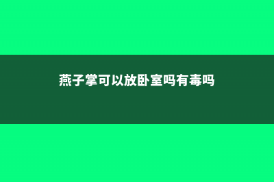 燕子掌可以放卧室吗 (燕子掌可以放卧室吗有毒吗)