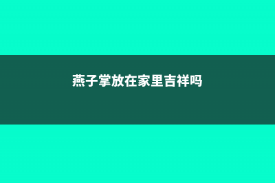 燕子掌适合放在哪里 (燕子掌放在家里吉祥吗)