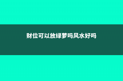 财位可以放绿萝吗 (财位可以放绿萝吗风水好吗)