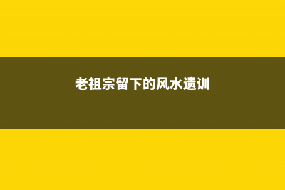 老祖宗的风水经，家里风水是福是穷，就看这盆花！ (老祖宗留下的风水遗训)