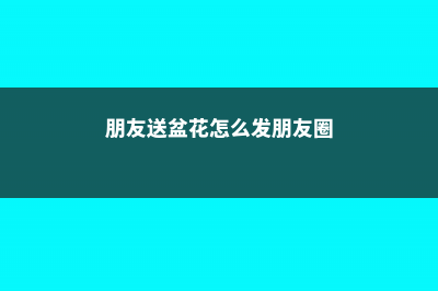 送朋友一盆花，竟然治好了她的抑郁症，不看后悔！ (朋友送盆花怎么发朋友圈)