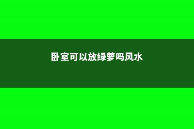 卧室可以放绿萝睡觉吗 (卧室可以放绿萝吗风水)