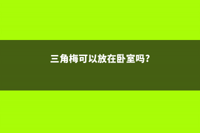 三角梅可以放在卧室吗 (三角梅可以放在卧室吗?)