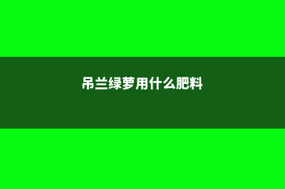 吊兰绿萝哪个除甲醛强 (吊兰绿萝用什么肥料)