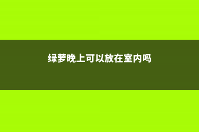 绿萝晚上可以放卧室吗 (绿萝晚上可以放在室内吗)