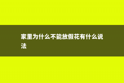 家里为什么不能种桂花 (家里为什么不能放假花有什么说法)