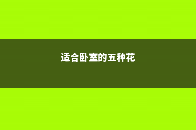 百合花能放客厅吗 (适合卧室的五种花)