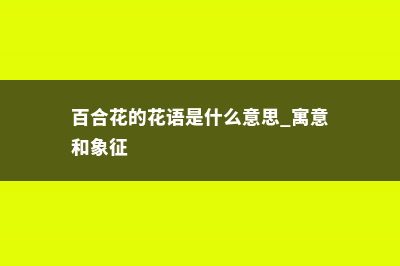 百合花的花语 (百合花的花语是什么意思 寓意和象征)