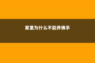 家里为什么不能养睡莲 (家里为什么不能养佛手)