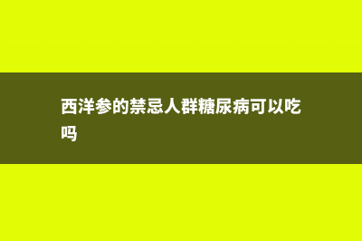 西洋参的禁忌人群 (西洋参的禁忌人群糖尿病可以吃吗)