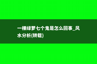 一棵绿萝七个鬼是真的吗 (一棵绿萝七个鬼是怎么回事 风水分析(转载))