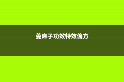 蓖麻子的功效与作用 (蓖麻子功效特效偏方)